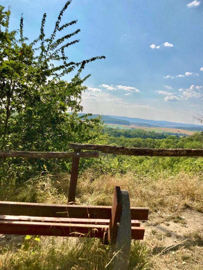 Ferienhaus Moni Mit 2 Separaten Wohnungen Am Silbersee Frielendorf Εξωτερικό φωτογραφία